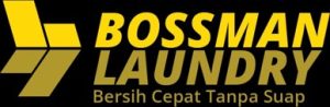usaha laundry digital